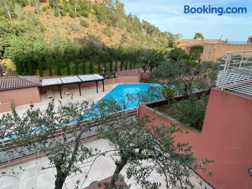 Le Sud - Image 1