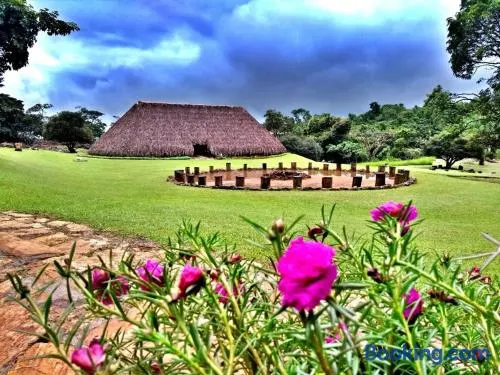 Canto dos Xamãs - Image 1