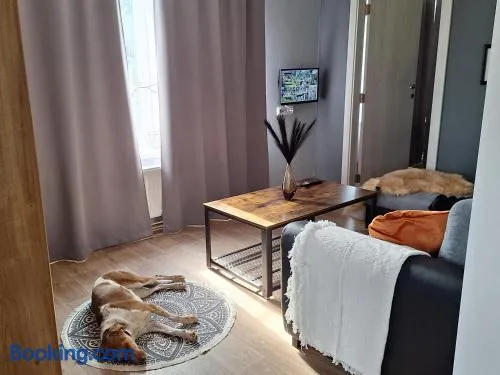 Ubytování Na Peci Lanžhot - Image 1