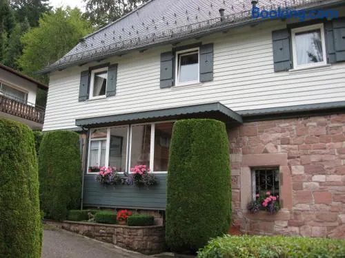 Ferienwohnungen Im Kelterhaus - Image 1