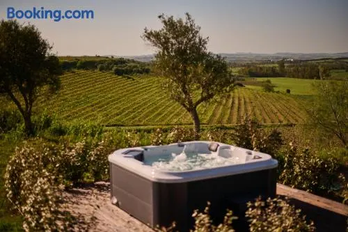 Villa Colle dei Vigneti - Sardinian Vineyard Estate - Image 1