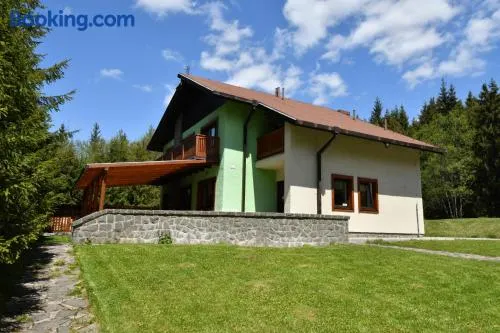 Poľovnícka chata Štefana - Image 1