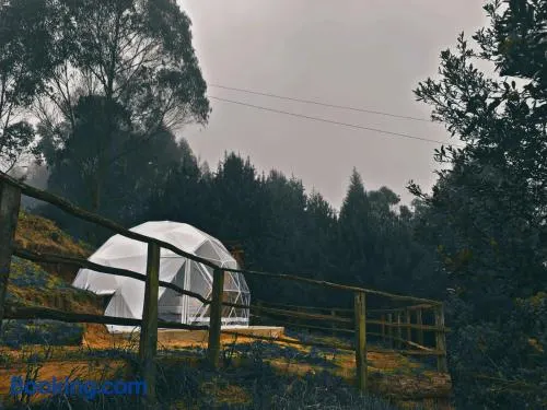 Glamping El Mirador de las estrellas - Image 1