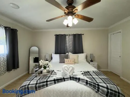 Sunshine Nest - Image 1