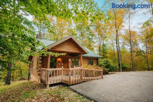Ferngully Creek Cabins - Image 1