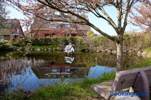 FeWo am Dorfteich - Image 1
