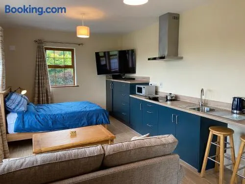 Twin Lakes Studio Apt - Image 1