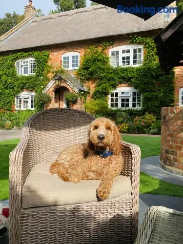 Little Woodside a beautiful New Forest self contained private luxury annexe - Image 1