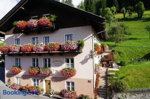 Musikhof Lexer - Image 1