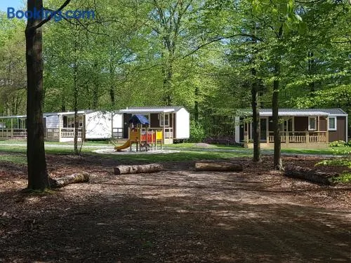 Boscamping Appelscha - Image 1