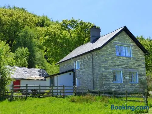 Dolmurgoch Snowdonia Cottage - Image 1