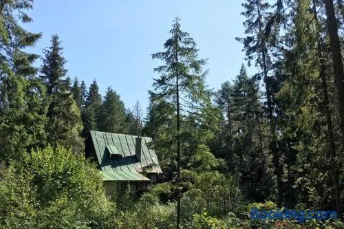 Enchanted Forest Chalet - Image 1
