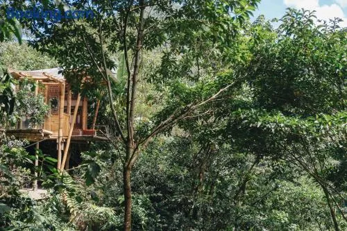 Casa Borojó, Refugio Natural Jacaranda - Image 1