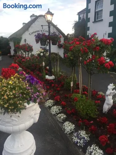Teresas Cottage - Image 1