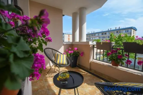 Apartment Plaža - Image 1