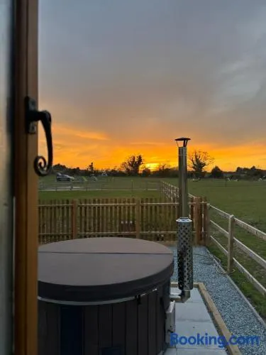 Shepherds hut surrounded by alpacas and ponies - Image 1