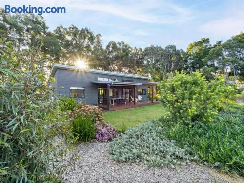 Vines & Stars - Amongst The Vines - Private Luxury - Image 1