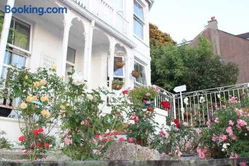 Silver Birch Guesthouse - Image 1