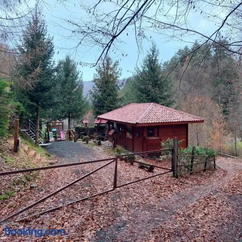 KALMul naturii, iureșul pădurii - Image 1