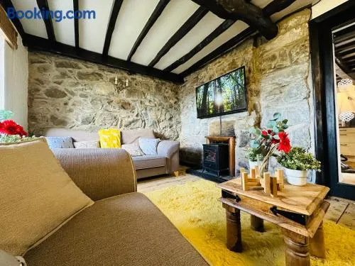 Trawsfynydd Stone Cottage - Image 1