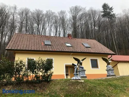 Ferienwohnung Ambassador - Image 1