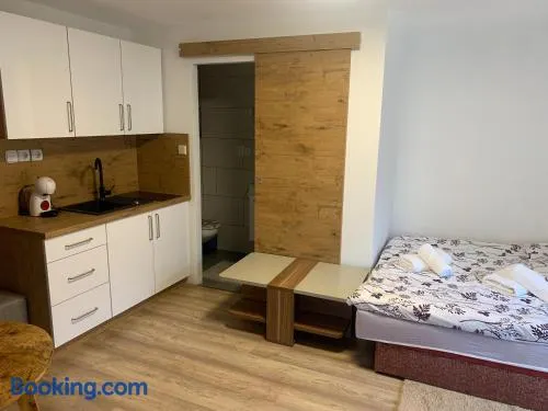 Apartment Gajsek - Image 1