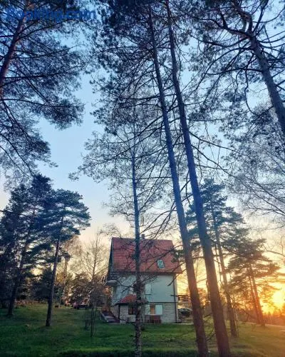 Apartman Tripković - Image 1