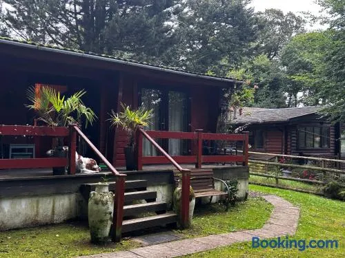 2 Bed Lodge - Sleeps 4 - Pets - Parking - Wifi - Image 1