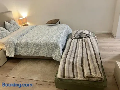 Newly Renovated Stylish & Spacious Studio - Image 1