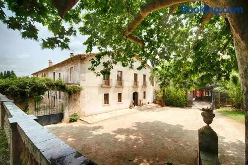 Can Cors - Image 1