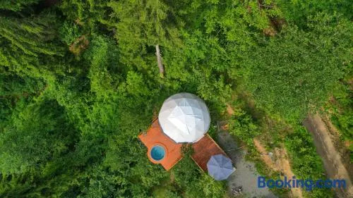 Ajara Glamping Kokotauri - Image 1