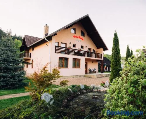 Casa Rareş Suceviţa - Image 1