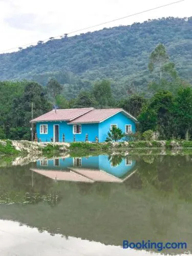 Casa de Campo Nó de Pinho - Image 1