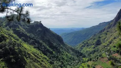 Dream view - Image 1