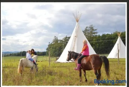 Ranch Calamity Jane - Image 1