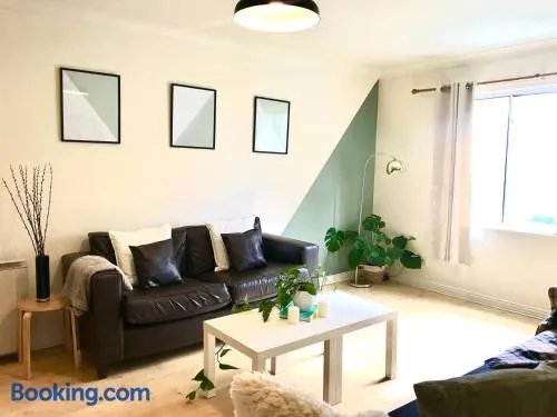 FREE parking, City centre,quiet,Netflix - Image 1