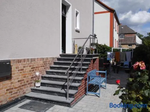 Barther Boddenblick 1 - Image 1