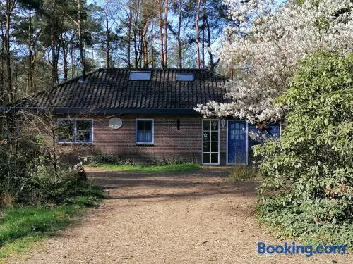 Holiday home bos en heide - Image 1