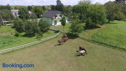 Green apartment Plitvice - Image 1