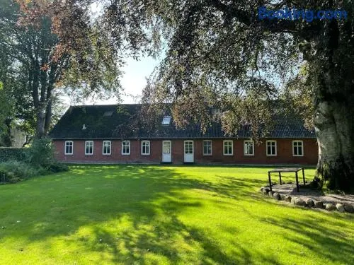 Wohnung in Salling - Image 1