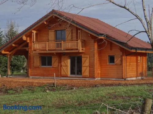 Chalet des 4 Vents: Nature et Activités Vosges - Image 1