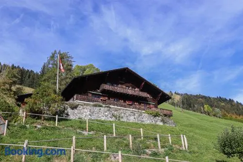 Appartement Les Prés d'Enhaut 1 - Image 1