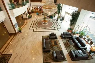 Evergreen Laurel - Image 1