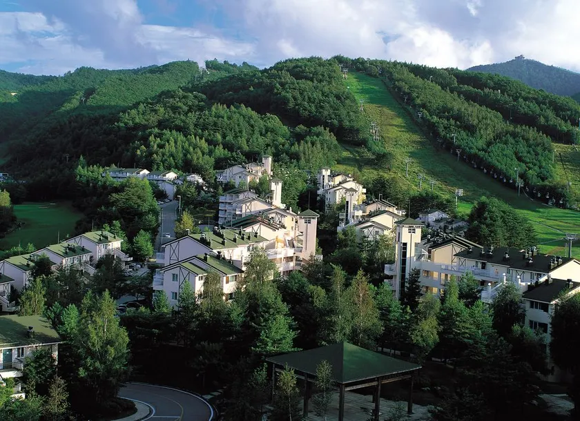Yongpyong Resort Villa Condo - Image 1