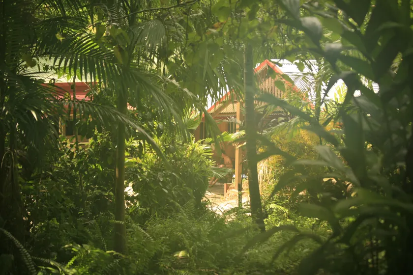 Tropical Bliss BNB - Image 1