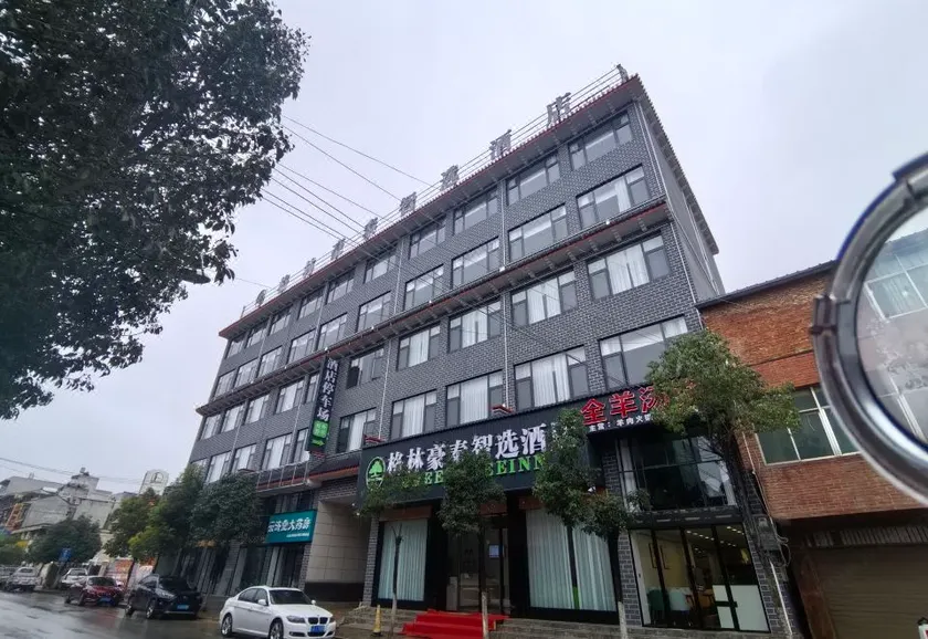 GreenTree Inn Select Hotel (Yanglin Passenger Terminal Store) - Image 1