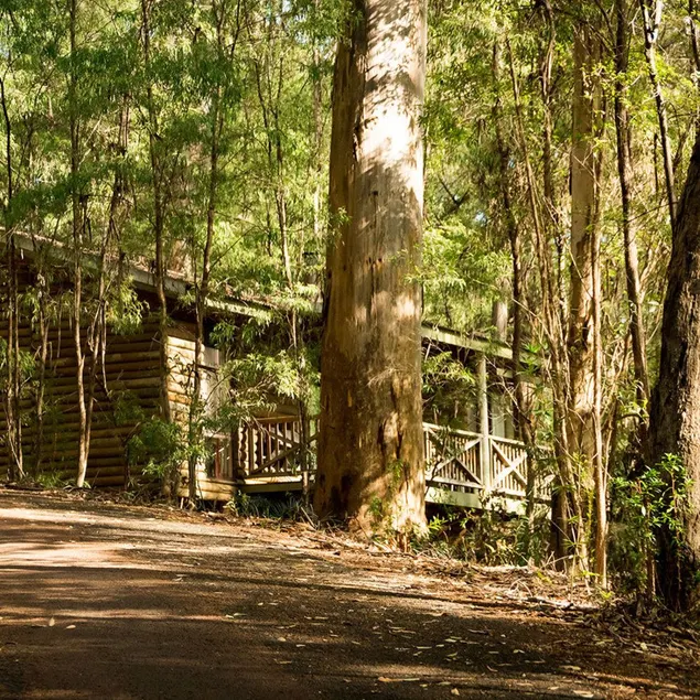 RAC Karri Valley Resort - Image 1