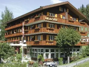 Hotel Bellevue Wengen - Image 1