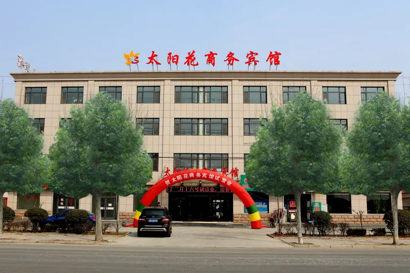 Taiyanghua Business Hotel - Image 1