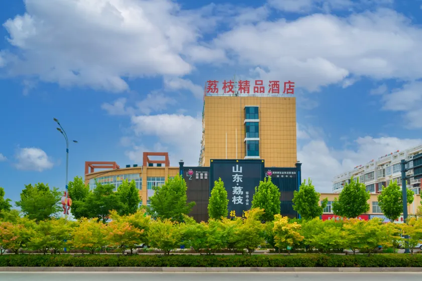 Shandong Litchi Hotel (Tengzhou High-speed Railway Station) - Image 1
